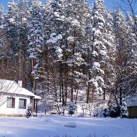Holiday Home Tanevi Tryavna Exterior foto