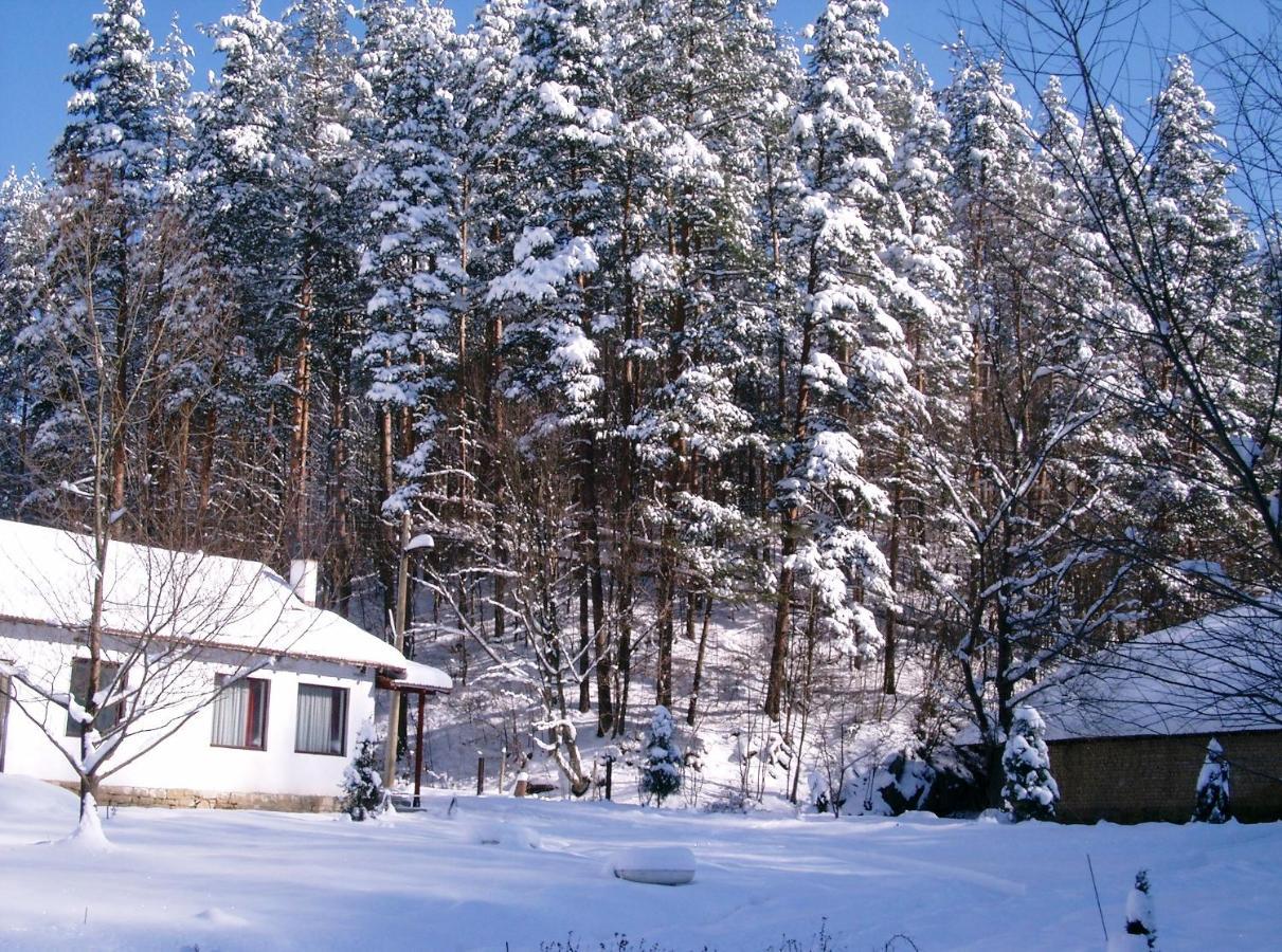 Holiday Home Tanevi Tryavna Exterior foto